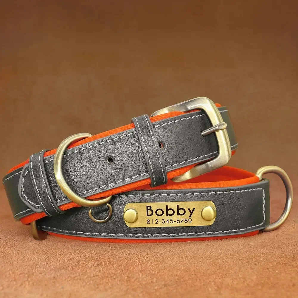 Personalized Soft Padded Leather Dog Collar and Leash with Engraved Nameplate