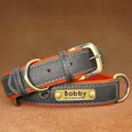 Gray Collar