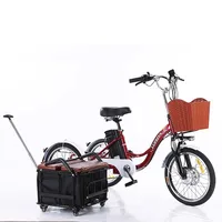 Tricycle électrique à 3 roues pour batterie au lithium 350W, 48V, 7 vitesses, 20 pouces, vélo cargo pour hommes adultes avec panier côtelé 2