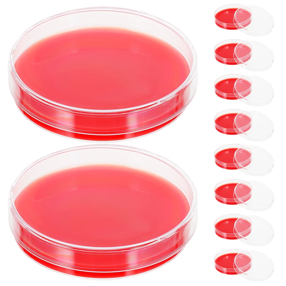 

Blood Agar Plates Blood Agar Medium Biological Determine Equipment for Laboratory Biological Scientific School Supplies