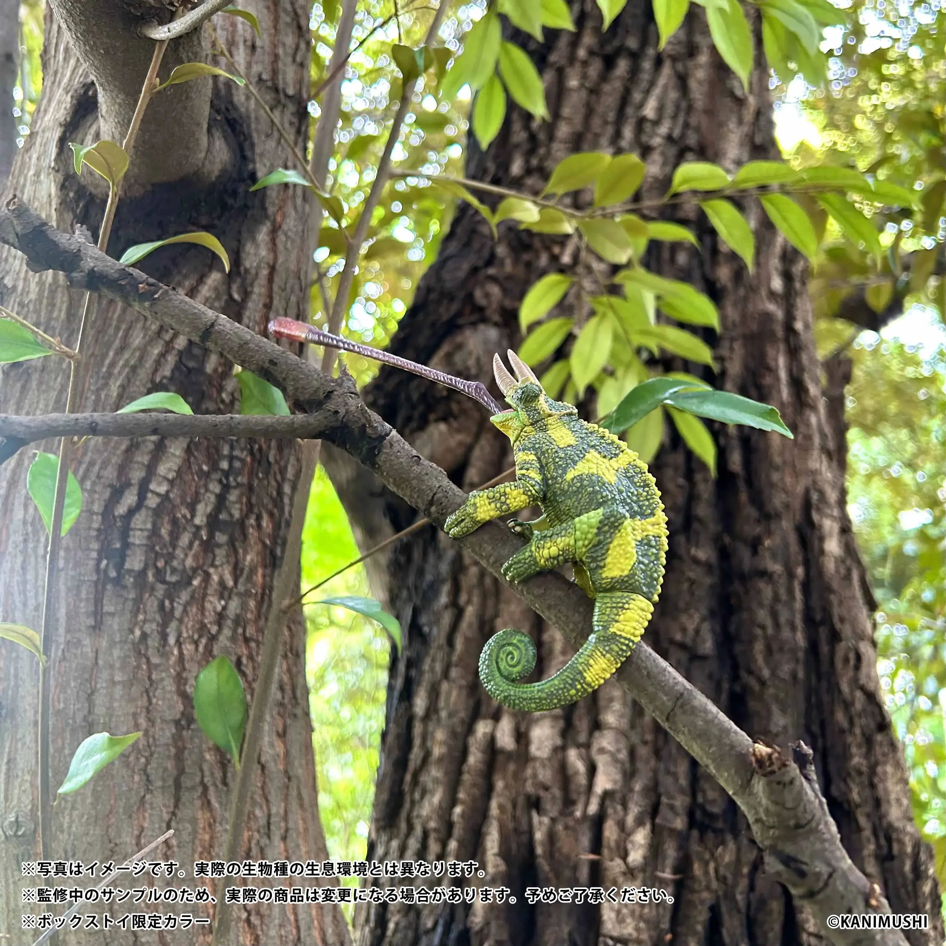 SO-TA カプセルトイかわいいアニマリーコレクションジャクソン