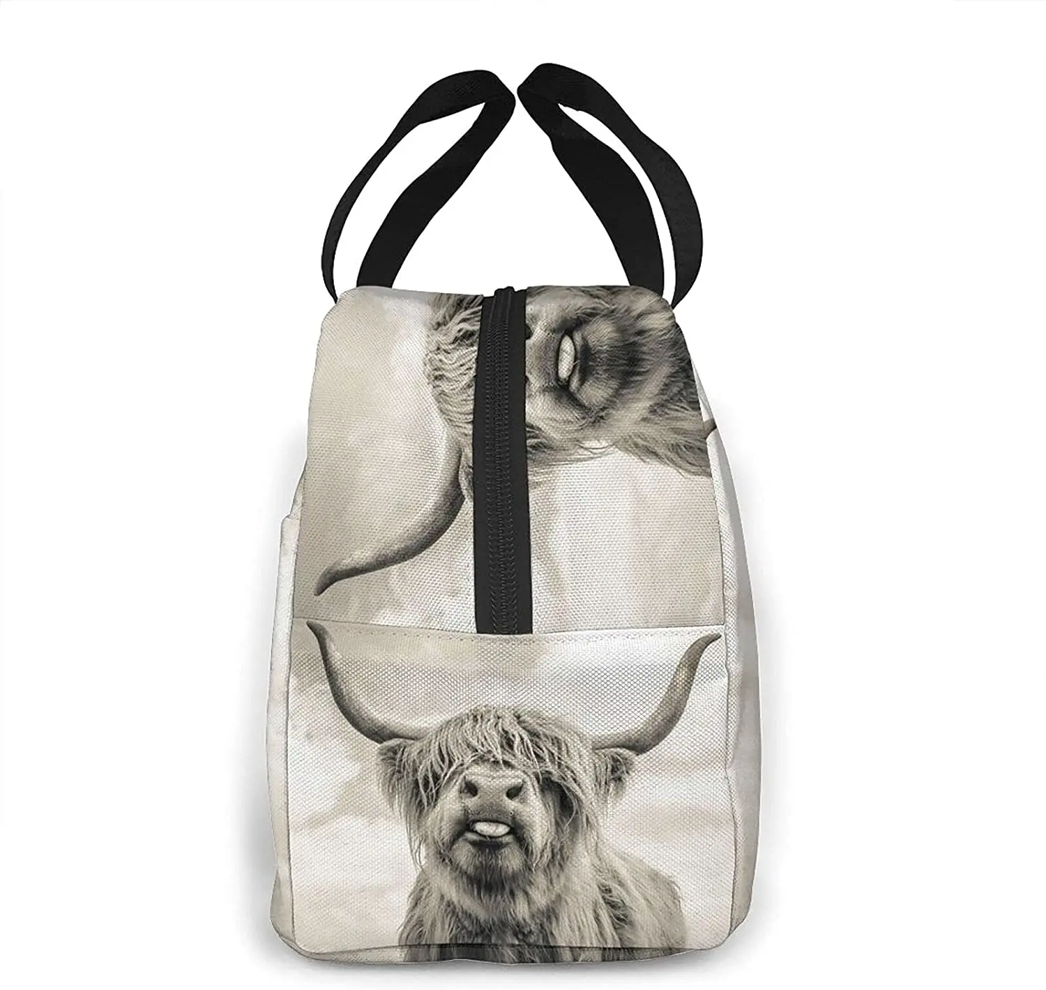 Funny Highland Cow Lunch Bags for Men Women Insulated Lunch Box Cooler Tote Bag for Work Travel Picnic, Multicolor
