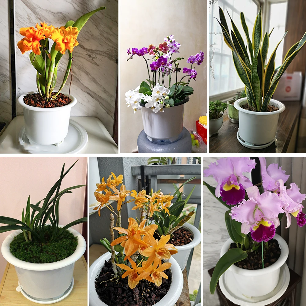 Meshpot 3er-Pack 10-Zoll-Doppelschicht-Blumentopf aus Kunststoff mit Luftlöchern, Blumentöpfe für Blumenpflanzen im Innen- und Außenbereich, Orchideen – Detail 12