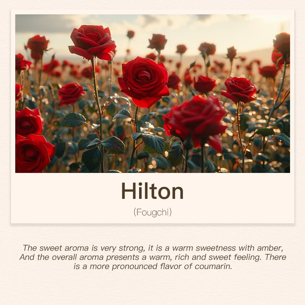 Hilton
