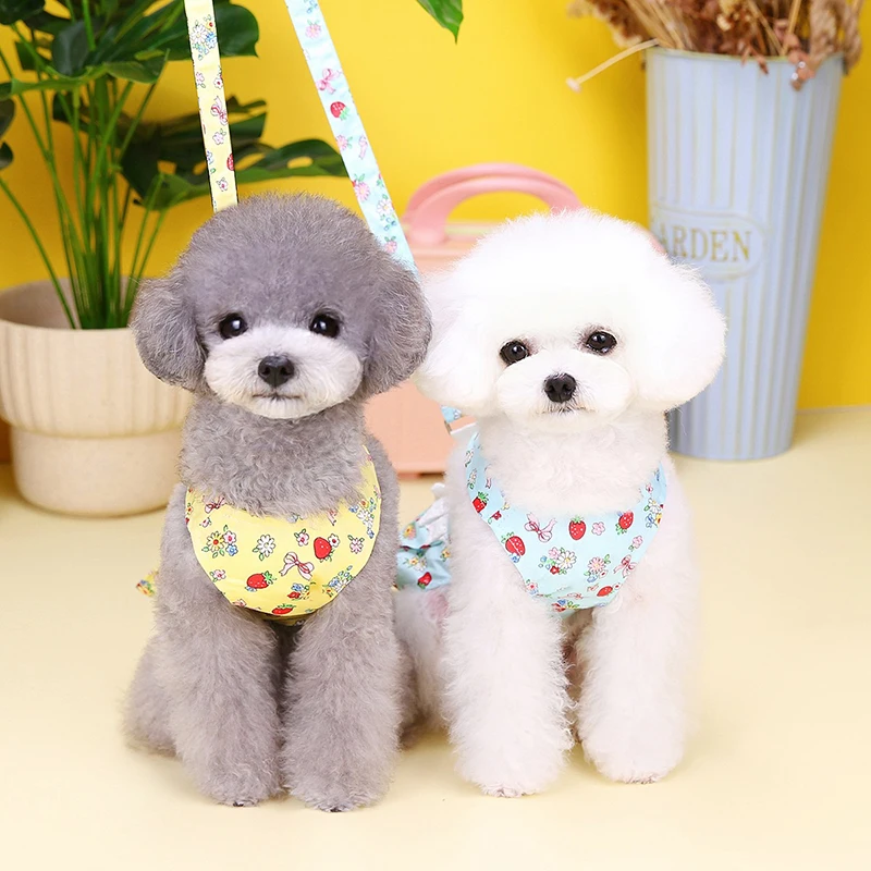 

Cute Pet Dog Harness Leash Set Pet Chest Strap Breathable Dog Leash Walking Rope for Small Dogs Pomeranian Pet Vest Harness Rope