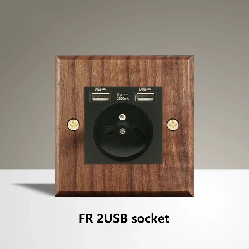 FR 2USB socket