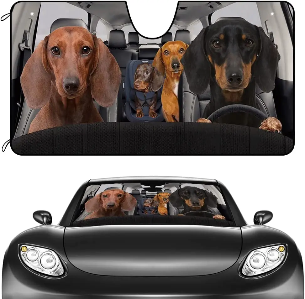 

CafeTime Car Windshield Sunshade Dachshund Dog Family Vehicle Front Windshield Sunshade UV Ray Reflector Sun Protector Sun Shade