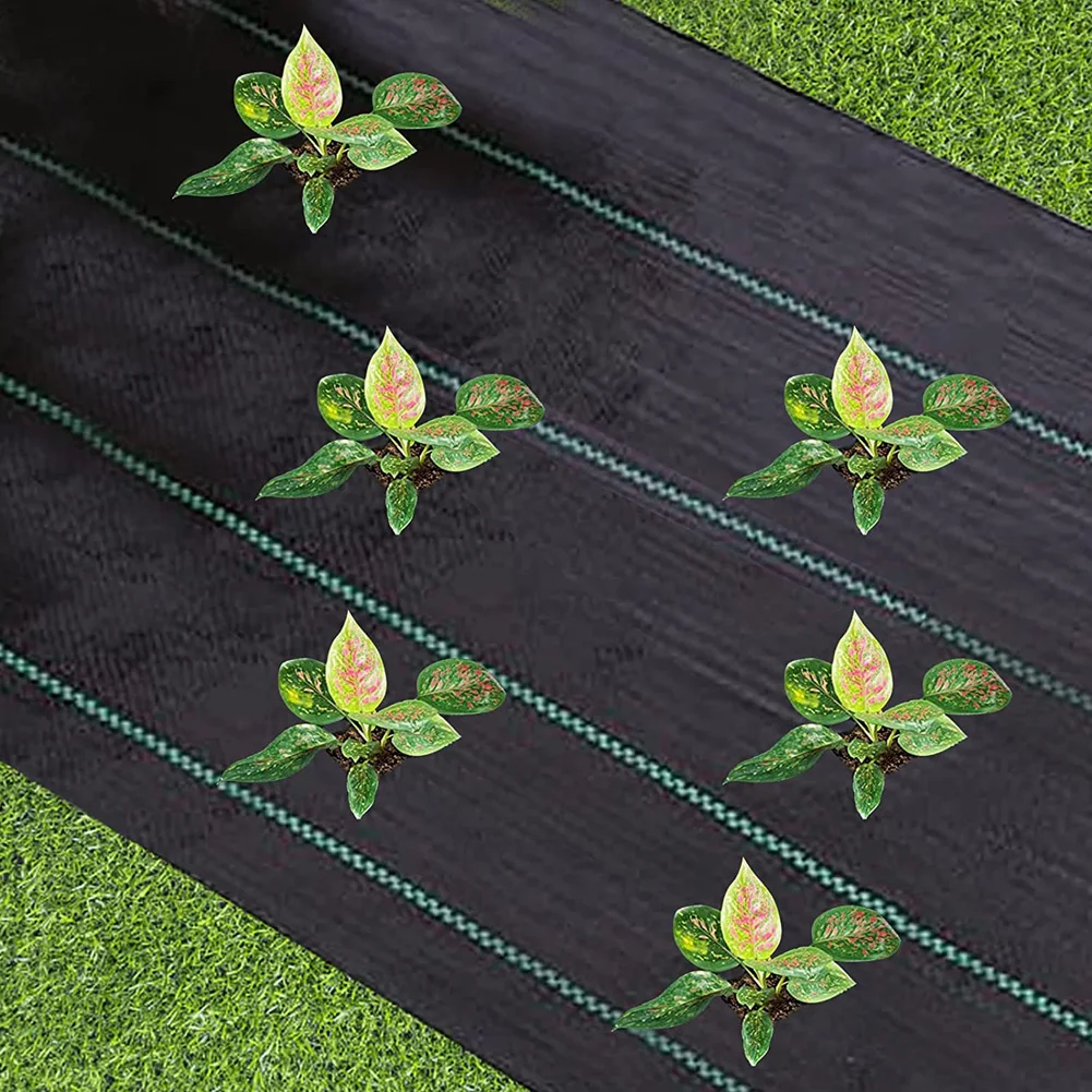 Description Picture 3 of itemWeeding Mat PP Woven Weed-Proof Cloth Weed Barrier Ground Cover Greenhouse Agricultural Mulch Anti Grass Weed Control Permeable