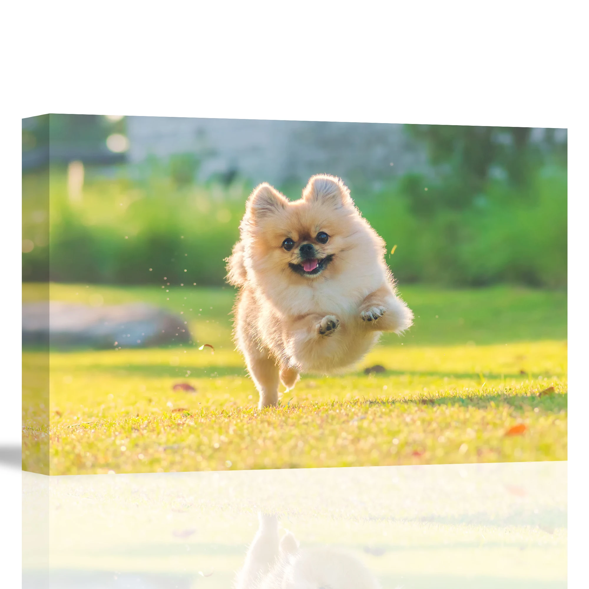 Dog Cat Paintings Prints Personalized Canvas Prints with Your Pet Dog Cat for Home Decoration