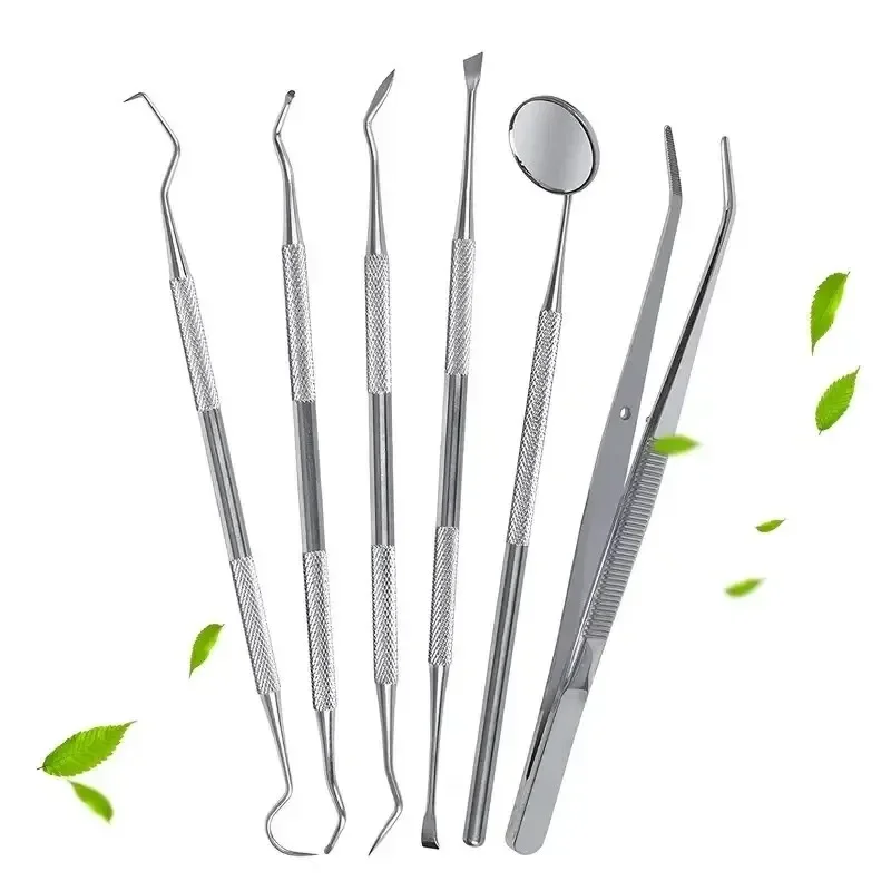 Stainless Steel Dentist Oral Tools Cleaning Flossing Tartar Removal Kit