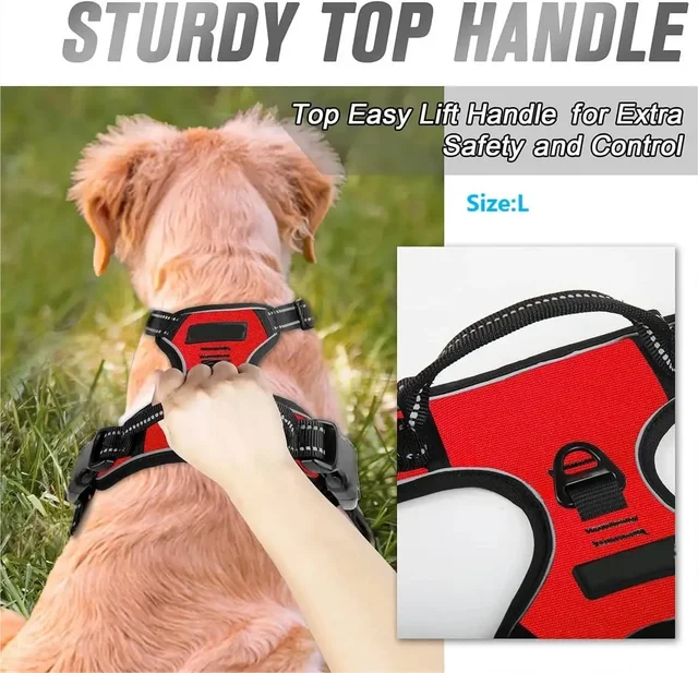 Dog Collars Harness Big Vests Leash Pet Shop Everything for Dogs Leather Puppy Accessories Medium Small Set 4
