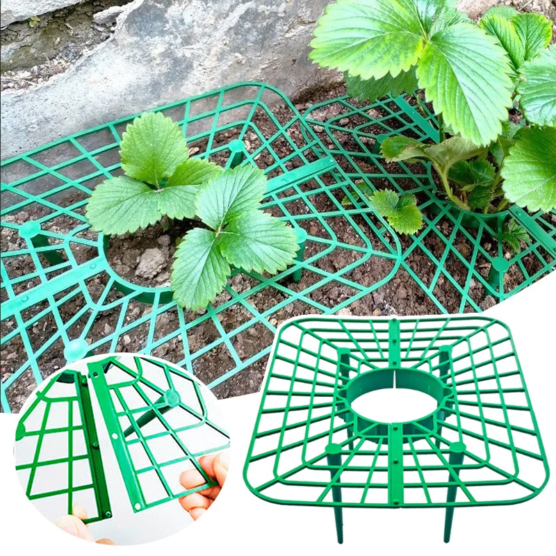 Plastic Strawberry Supports Anti-rot Strawberry Growing Racks Holder Plant Stand Home and Garden Plants Accessories