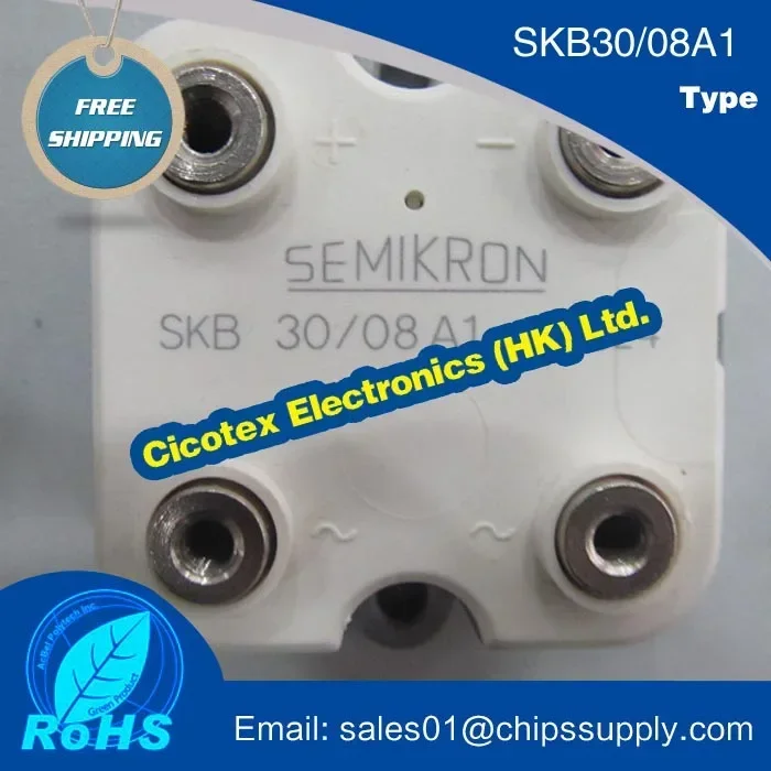 SKB30/08A1 모듈 IGBT