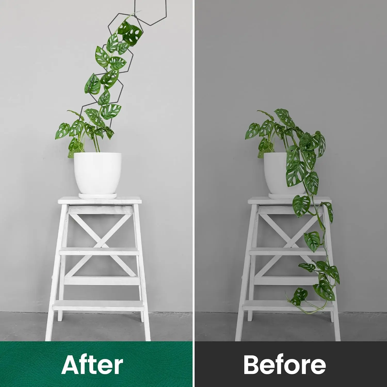 Trellis for Climbing Plants, Plant Climber Support with Connect-Hooks, for Ivy Flower, Garden Plant Wall Trellis,18pcs Hexagons