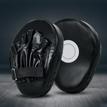 Boxing Punch Mitts 1