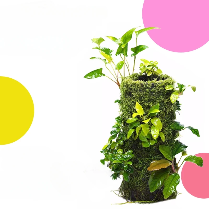 ADA DOOA Tree Culture Medium Epiphytic Plants Orchid Moss Office Desktop Permeable Bundled Micro Landscape