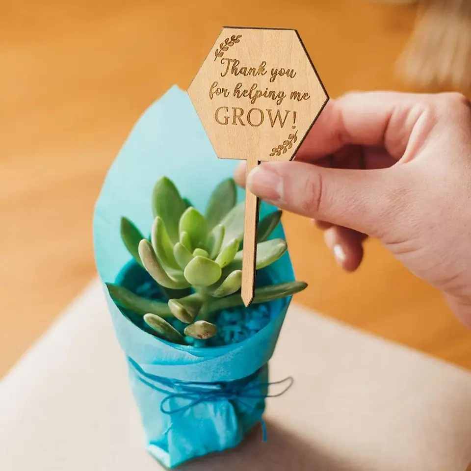 20 Etichette Per Piante In Legno - Con Pennarello | Per Semi, Erbe, Fiori E Orto - Foto 4