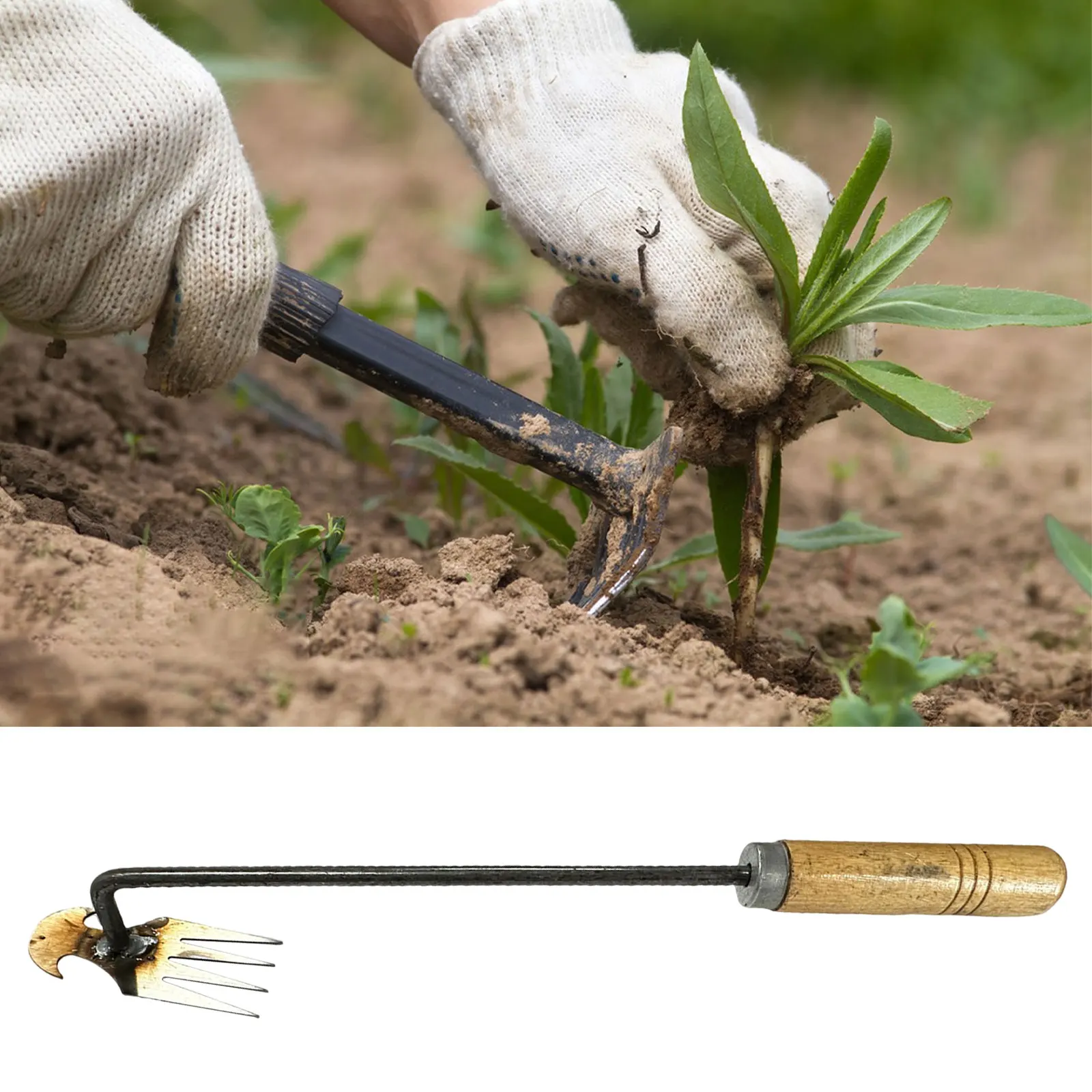 Stand 2024 up weeder