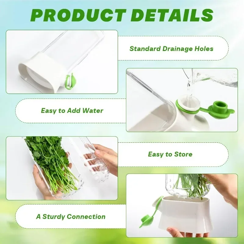 Saving Cilantro Container-Clear Herb Saver for Cilantro, Mint & Asparagus-Herb Savor Bottle Fresh Storage
