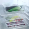 Vegetable Meat Kitchen Supplies Keep fresh Refrigerator Organizer Drain Storage Box Drainage Container Freezing Food 3