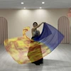 Dance Banners Flags Worship Flags Praise Dance Flags Worship Flags Wing Flags For Church Dance Performances Flexible Rod 5