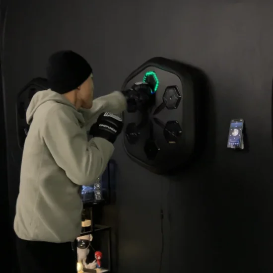 One-Punch™ Boxing Machine