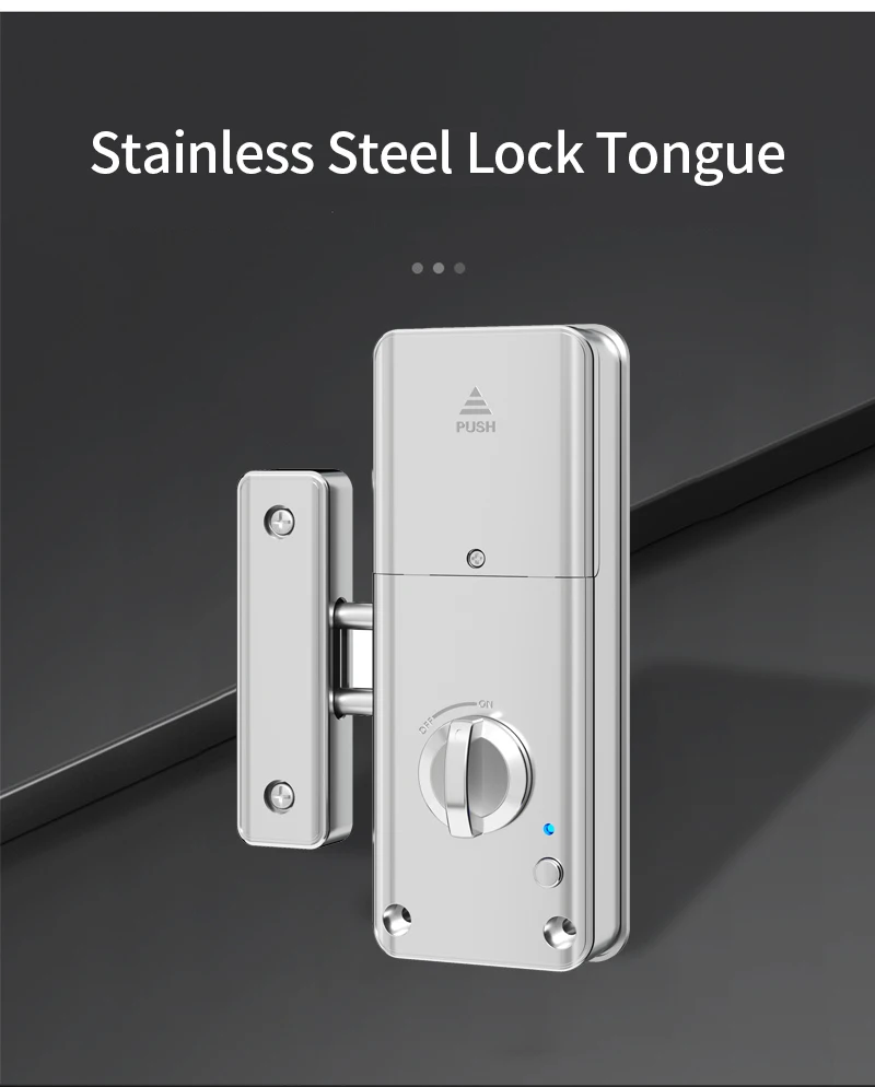 Tuya Smart Door Lock Indoor Invisible Wood Door Magnetic Lock IC Card APP Remote