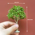 A 10cm