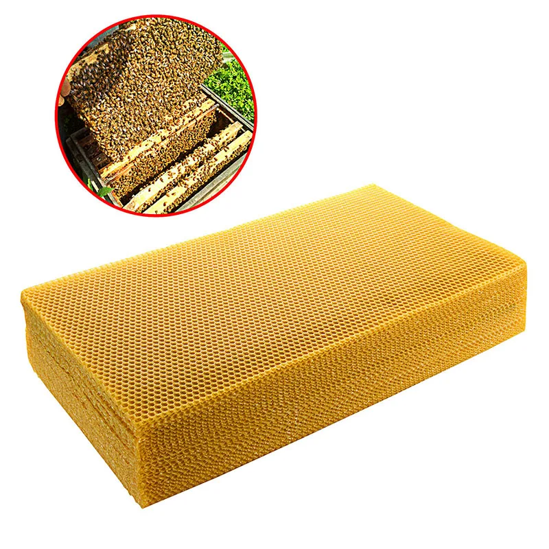 

10Pcs/Set 200*415mm Honeycomb Beeswax Foundation Beehive Wax Frames Base Sheets Bee Comb Honey Frame Holder Beekeeping Tool