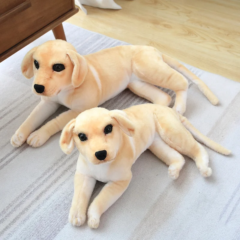 S7a316ad6fae743d2ac2d519a8f4927b3F - Labrador Merch