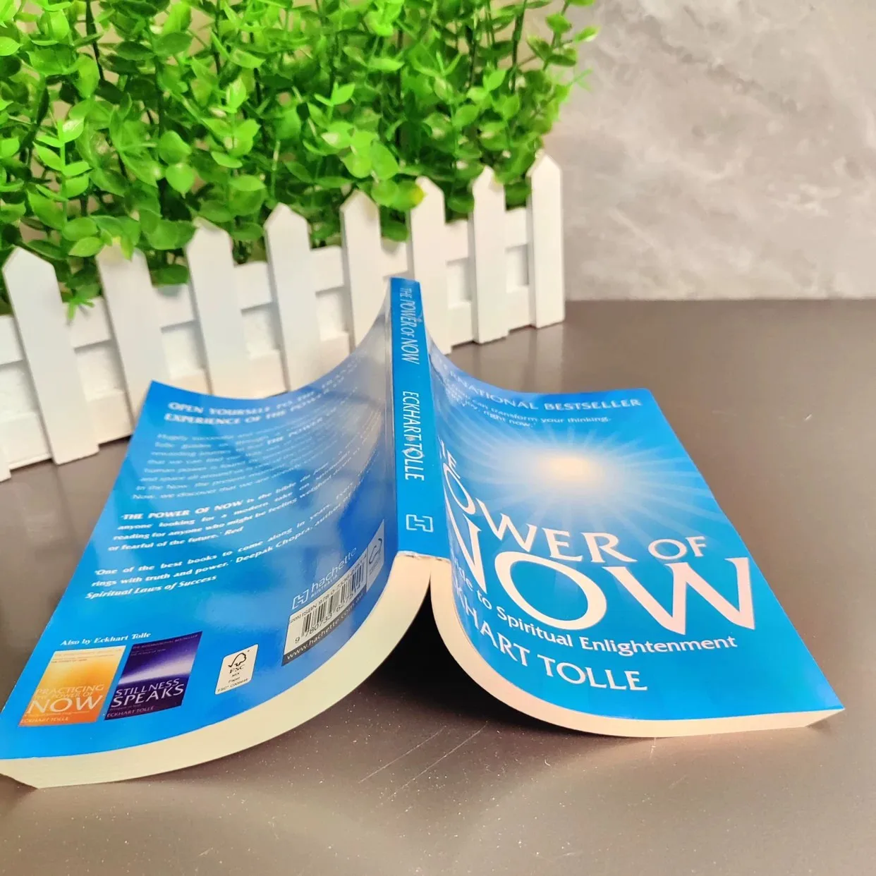 2026 Eckhart Tolle's English book guide to the new present power and spiritual enlightenment книги libro english books 5