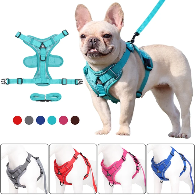 New Dog Harness for Small Dogs Leash and Collar Set Chihuahua Pomeranian  Reflective Blue Denim Puppy Supplies Cat Pet Harness - AliExpress
