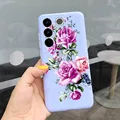 Case-c66