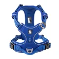 ROYALBLUE