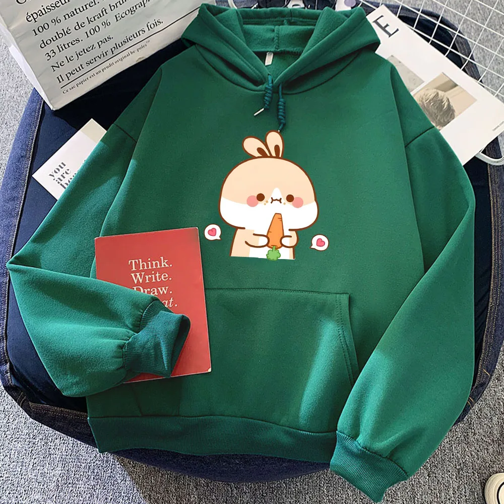 Rabbit Eating Carrot Printed Hoodies Sudaderas Comfortable Casual Kawaii Cartoon Sweatshirts Long Sleeve Women/Men Pullover Cute