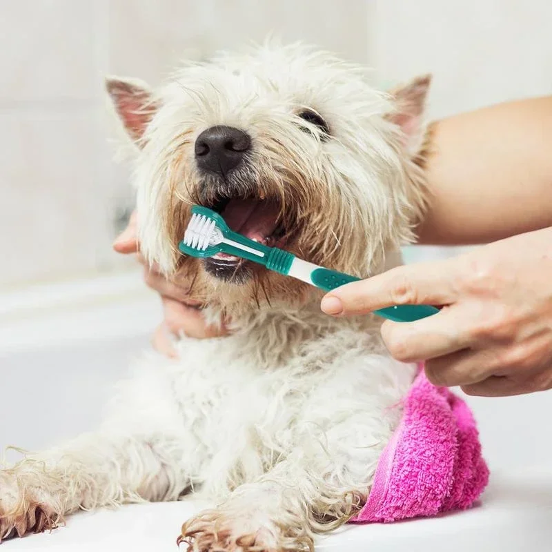 3-Sided Pet Toothbrush Dog Plastic Toothbrush Removing Bad Breath Tartar Cleaning Mouth Pet Dental Care Cat Cleaning Mouth Best Sellers In Pet Supplies
