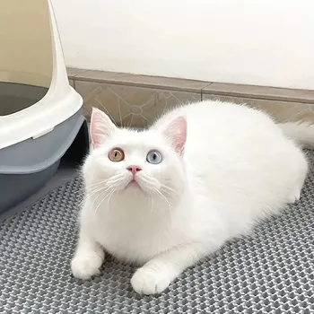고양이 쓰레기 패드 벌집 디자인 긁힘 매트, 노화 방지, 탈취, 세척 가능한 새끼 고양이 청소 용품, 1pc