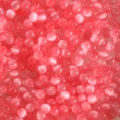 Deep Pink