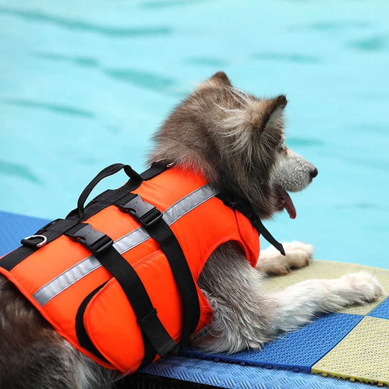 

TAILUP Pet Dog Swimming Clothes Life Jacket Safety Clothes for Life Vest Swimwear Small Big Dog Husky French Bulldog Dog