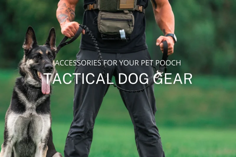 Tactical Dog Collar Military Thick with Handle Heavy Duty Nylon K9  Adjustable Metal Buckle German Shepard Walking Control Handle