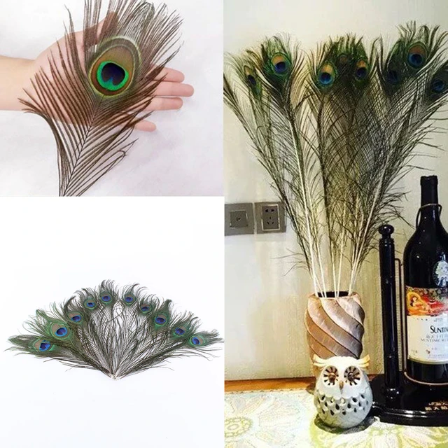 10 Pcs/lot Natural Big Eyes Peacock Feathers 25-30CM/10-12inch DIY ...