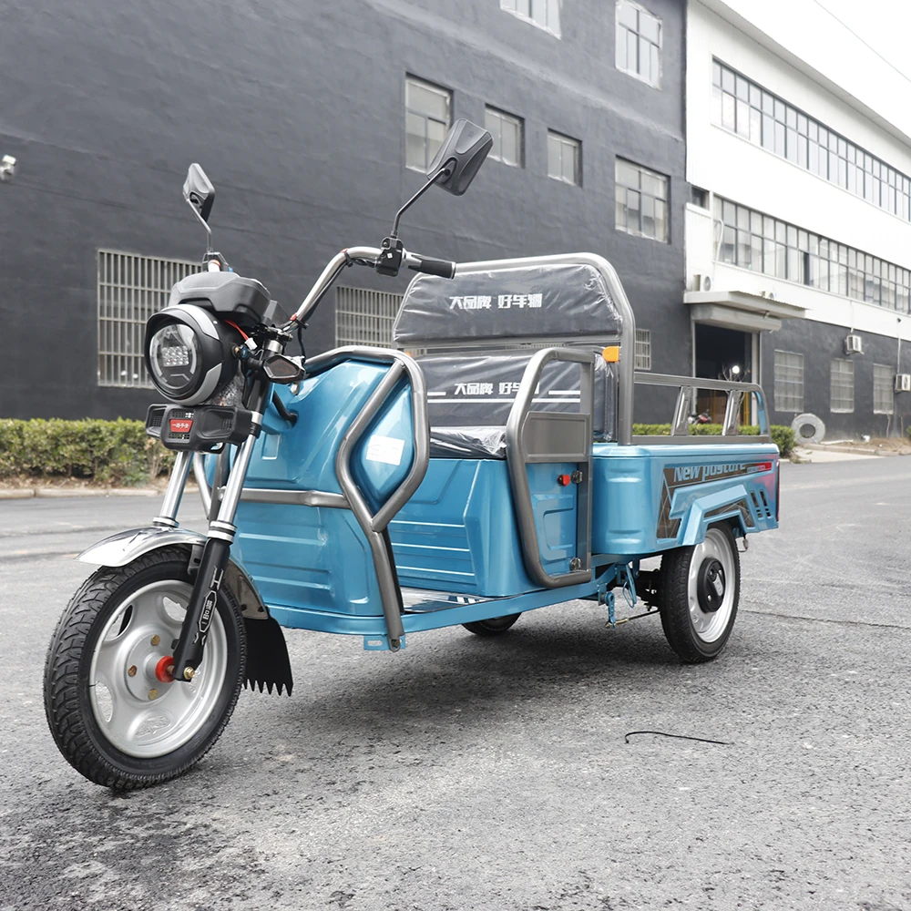 Small Electric Cargo Tricycle Customize Color Adult Transport