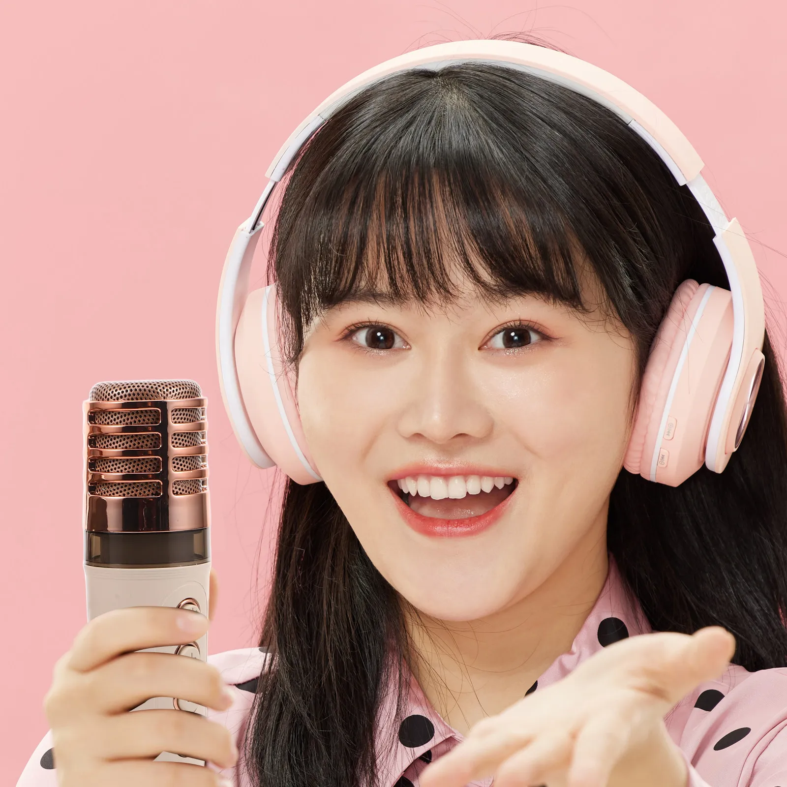 휴대용 야외 노래방 기계 무선 마이크 스피커 시스템 (캠핑, 가족 파티용) 미니 노래방 스피커 (성인용)