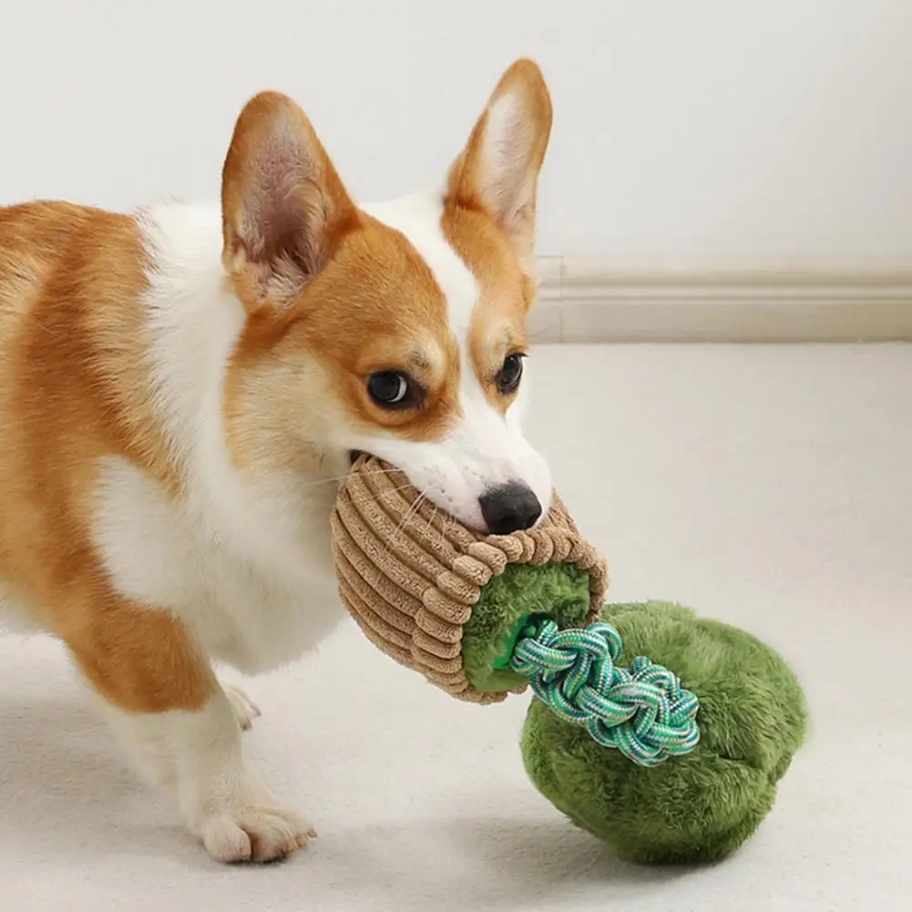 

Мягкая тканевая игрушка для собак, жевательная игрушка с встроенным звуком для зубов, рельефная скука, прочная ВЕРЕВОЧНАЯ ИГРУШКА для жевания для маленьких собак, брокколи