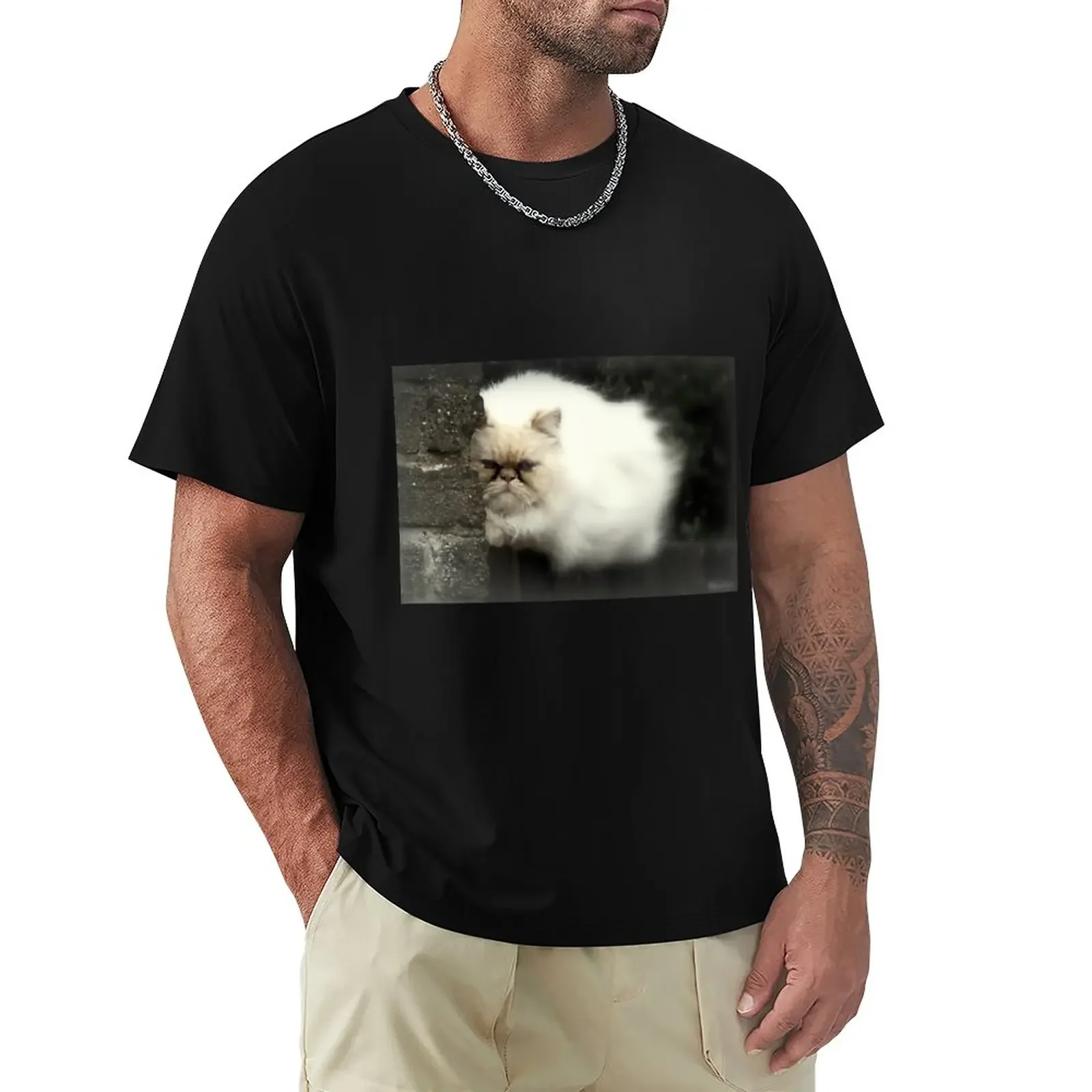 

The Tease... T-Shirt Aesthetic clothing boys whites men clothing