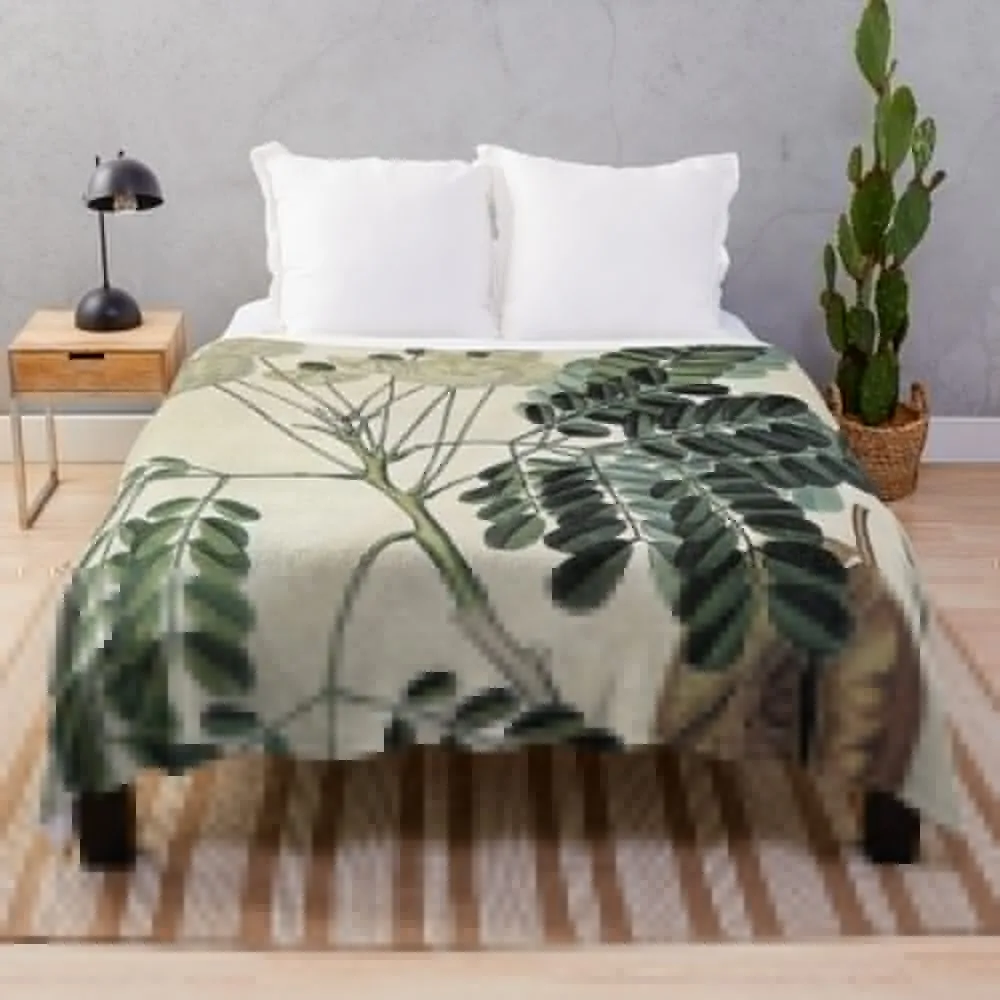 

acacia vintage botanical print Throw Blanket Luxury Throw Extra Large Throw Soft Big Summer Beddings Blankets