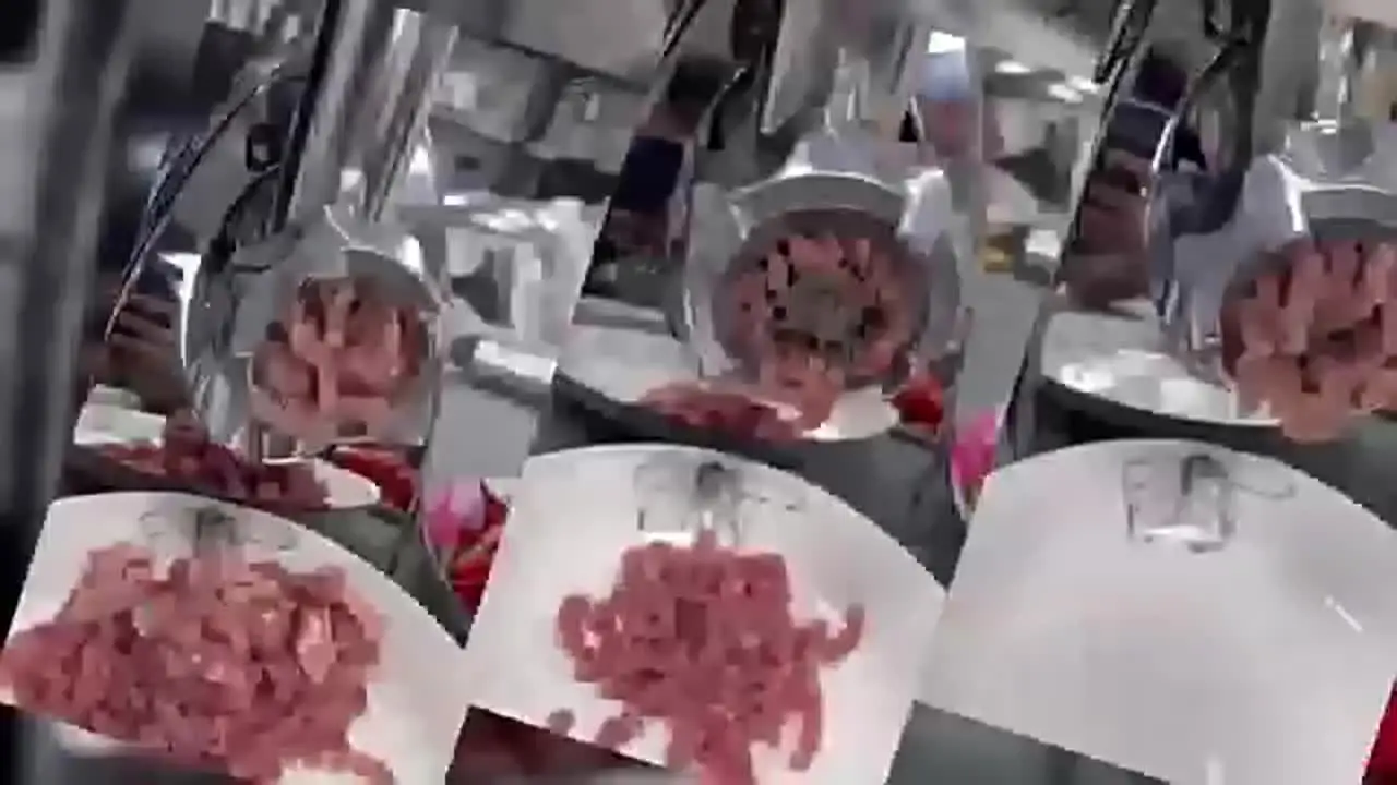 Электрическая мясорубка из нержавеющей стали