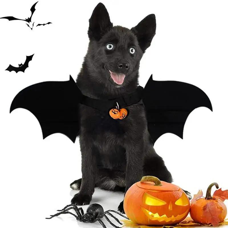 

Pet Cat Bat Wings Cosplay Bat Costume Cat Dress Up Comfortable Unique Pet Bat Wing Costume Halloween Bat Wings For Makeup Party