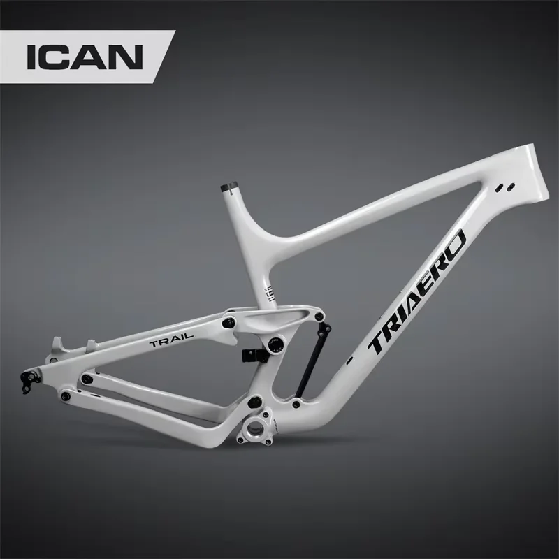 ICAN Hand Painted Carbon Fiber Frame P1 Trail MTB 29