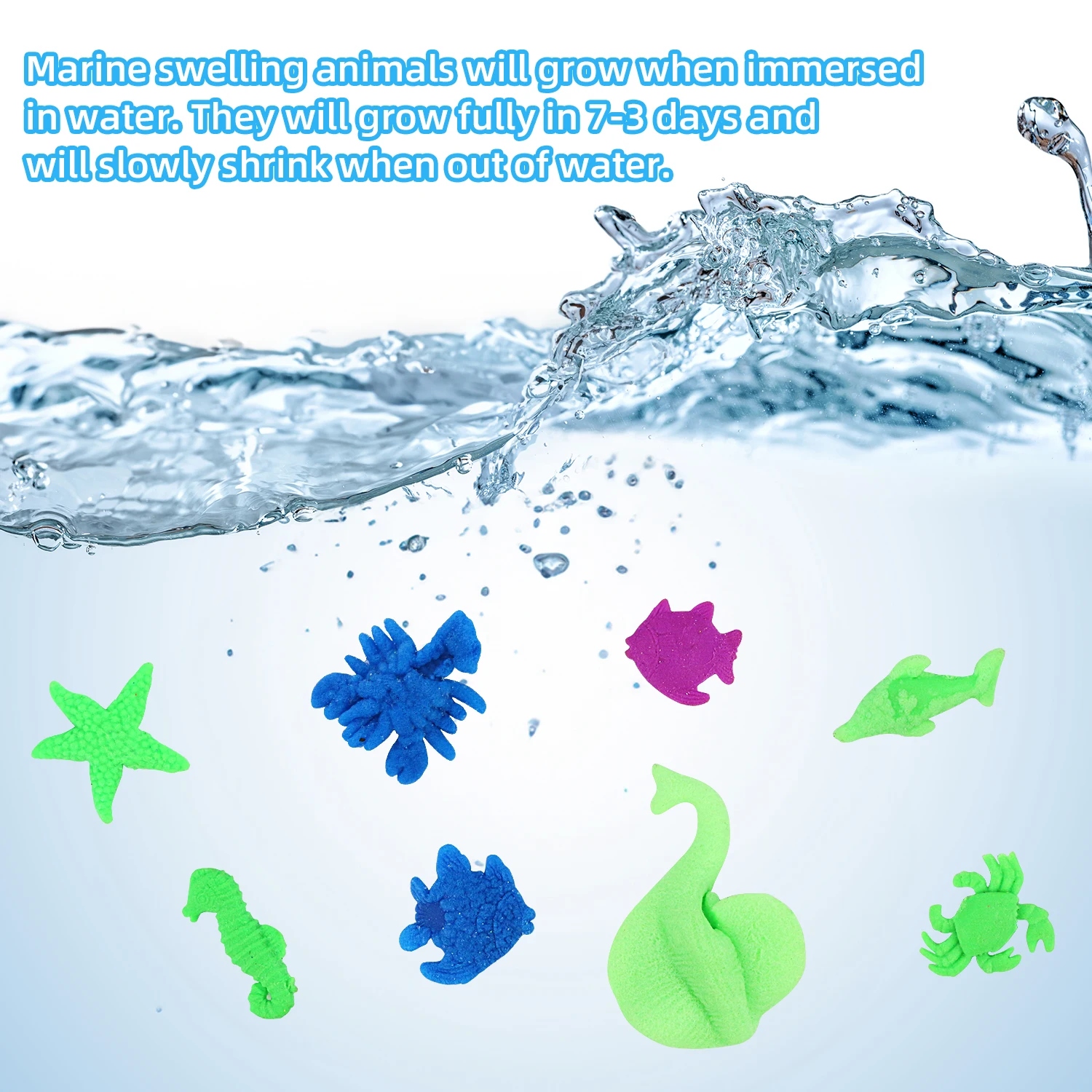Water swelling toy shell marine animal series small size water hatching scallop color random 6